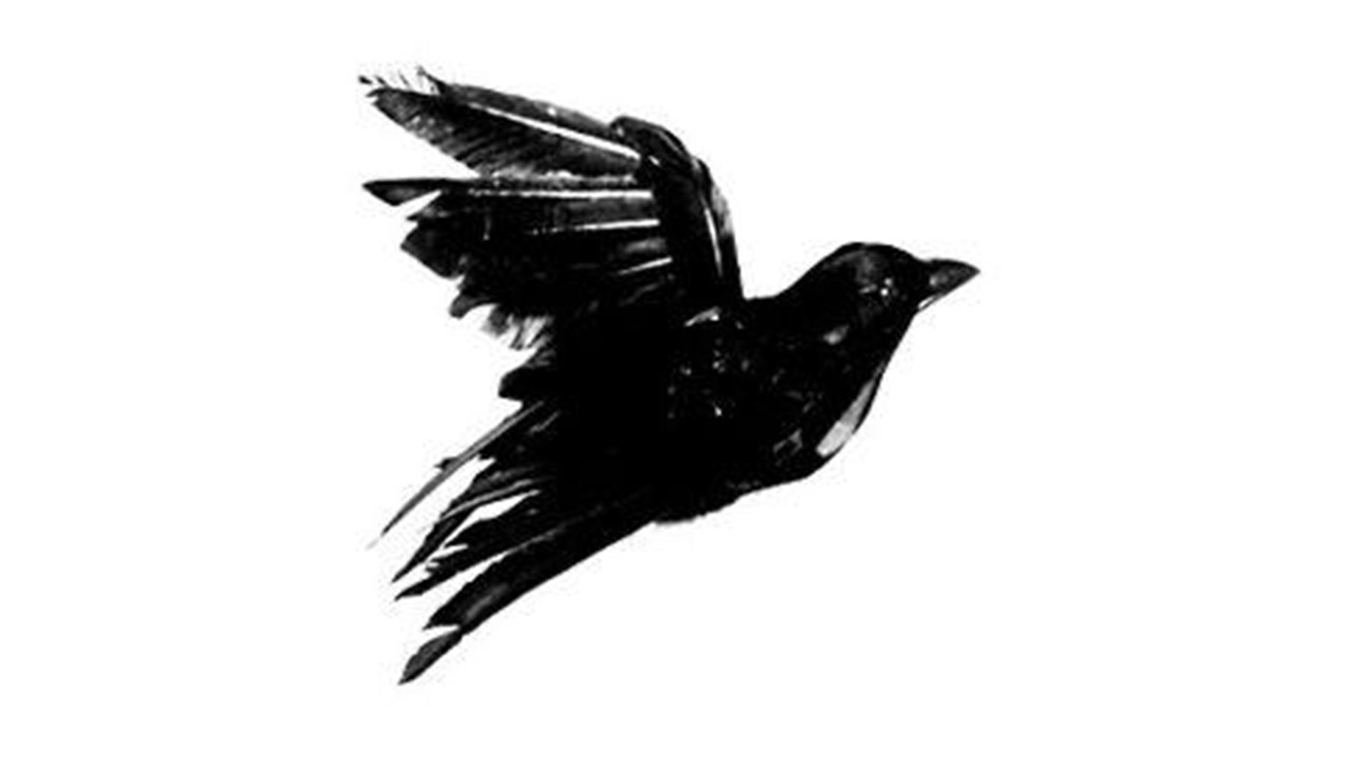 Black bird | Lass die Masken fallen | Poetry Slam by Mica